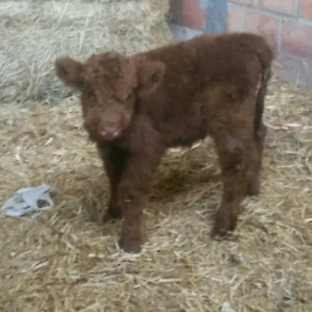 Rio Ricco Farm stay Busana