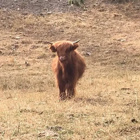 Rio Ricco Bauernhof *