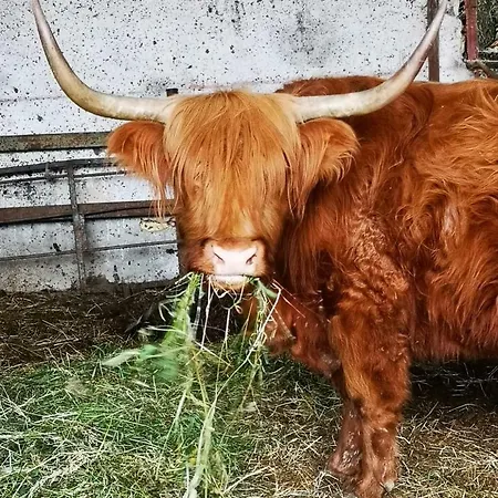 Farma Rio Ricco Busana