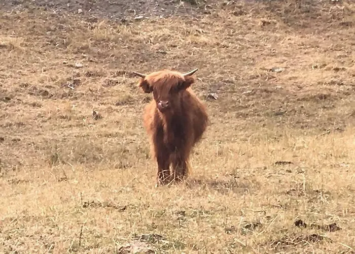 Rio Ricco مزرعة للإقامة *