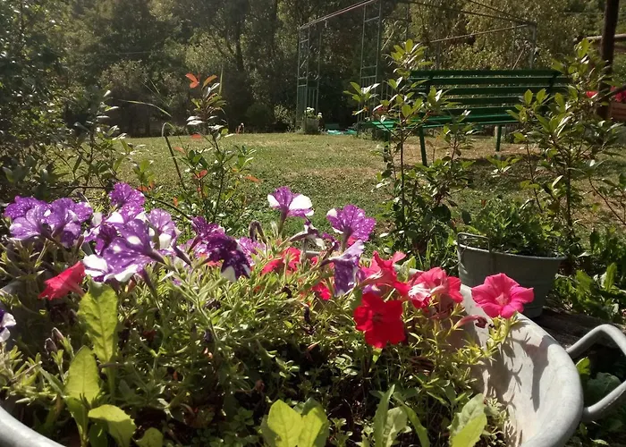 Rio Ricco Alloggio per agriturismo