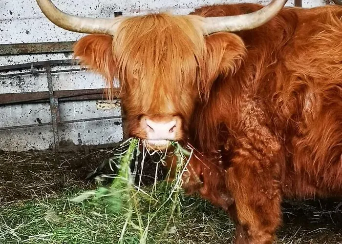 Alloggio per agriturismo Rio Ricco Busana